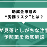 助成金申請の“労務リスク”とは？企業が見落としがちな注意点と予防策を徹底解説
